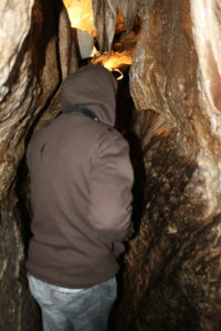 Linville caverns